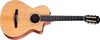 Taylor 112ce-N Taylor 112ce-N