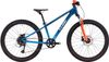 Cube Acid 240 Disc 2026 Cube Acid 240 Disc 2026