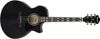 Ibanez AE170 Ibanez AE170