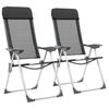 vidaXL Klappbare Campingstühle 2 Stk. (44305) vidaXL Klappbare Campingstühle 2 Stk. (44305)