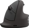 Fellowes Breyta Vertical Mouse large left (100143584) Fellowes Breyta Vertical Mouse large left (100143584)