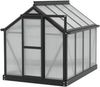 Vitavia Merlin Minigewächshaus (40006237) Vitavia Merlin Minigewächshaus (40006237)