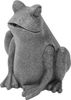 Esotec Wasserspeier-Figur Frosch (100748) Esotec Wasserspeier-Figur Frosch (100748)