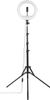 Hama SpotLight Steady 120 III Hama SpotLight Steady 120 III