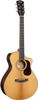 Cort Gold MC6 Cort Gold MC6