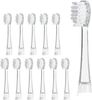 Ailoria Bubble Brush Ersatzbürstenköpfe 12er Set (50352289) Ailoria Bubble Brush Ersatzbürstenköpfe 12er Set (50352289)