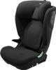 Thule Palm Thule Palm