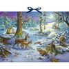 Coppenrath Hört ihr die Tiere im Winterwald? Sound-Adventskalender Coppenrath Hört ihr die Tiere im Winterwald? Sound-Adventskalender