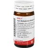 Wala APIS BELLADONNA GLOBULI VELATI, 20 g Wala APIS BELLADONNA GLOBULI VELATI, 20 g