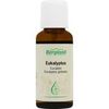EUKALYPTUS OEL NATUERLICH, 30 ml EUKALYPTUS OEL NATUERLICH, 30 ml