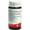 Wala MAGNESIUM PHOS. COMP. GLOBULI, 20 g Wala MAGNESIUM PHOS. COMP. GLOBULI, 20 g