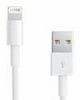 Apple Lightning auf USB Kabel 0,5 m Apple Lightning auf USB Kabel 0,5 m