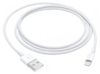 Apple Lightning auf USB Kabel 1 m (MD818ZM) Apple Lightning auf USB Kabel 1 m (MD818ZM)