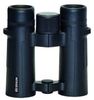 Braun Compagno 10x34 WP Braun Compagno 10x34 WP