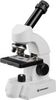 Bresser Junior Mikroskop 40x-640x inkl. Experimentier-Set Bresser Junior Mikroskop 40x-640x inkl. Experimentier-Set
