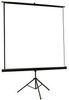 celexon Economy 244 x 138 celexon Economy 244 x 138