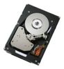Cisco SAS Hard Disk 146GB (A03-D146GA2) Cisco SAS Hard Disk 146GB (A03-D146GA2)