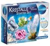 Clementoni Galileo - Kristalle selbst züchten Starter Set Clementoni Galileo - Kristalle selbst züchten Starter Set