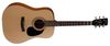Cort AD810 Cort AD810