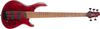 Cort B5 Element Cort B5 Element