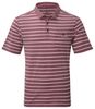 Craghoppers NosiLife Polo-Shirt Herren Craghoppers NosiLife Polo-Shirt Herren