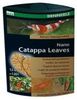 Dennerle Nano Catappa Leaves 12 Stk. Dennerle Nano Catappa Leaves 12 Stk.