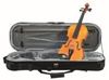 Dimavery Violine Middle-Grade 4/4 Dimavery Violine Middle-Grade 4/4