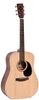 Ditson D-10 Ditson D-10