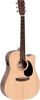 Ditson DC-10E Ditson DC-10E