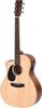 Ditson GC-10EL Ditson GC-10EL