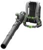 EGO LB6000E-K1103 EGO LB6000E-K1103