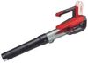 Einhell GP-LB 18/200 Li GK-Solo Einhell GP-LB 18/200 Li GK-Solo