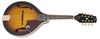 Epiphone MM-30S Epiphone MM-30S