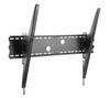 Equip 650322 TV-Wandhalterung Equip 650322 TV-Wandhalterung