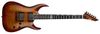 ESP E-II Horizon NT-II ESP E-II Horizon NT-II