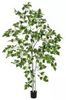Europalms Birkenbaum 180 cm Europalms Birkenbaum 180 cm