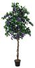 Europalms Bougainvillea lavendel 180 cm Europalms Bougainvillea lavendel 180 cm