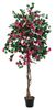 Europalms Bougainvillea rot 150 cm Europalms Bougainvillea rot 150 cm
