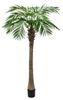 Europalms Phönixpalme luxor 240 cm Europalms Phönixpalme luxor 240 cm