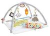 Fisher-Price 5 Sinnes Baby Spieldecke Fisher-Price 5 Sinnes Baby Spieldecke