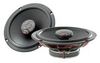 Focal ICU165 Focal ICU165