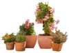 Gardena Micro-Drip-System Erweiterungsset Pflanztöpfe Gardena Micro-Drip-System Erweiterungsset Pflanztöpfe