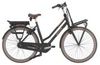 Gazelle Miss Grace C7+ HMB R7H Gazelle Miss Grace C7+ HMB R7H