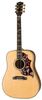 Gibson Hummingbird Custom Gibson Hummingbird Custom