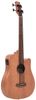 Gold Tone M-Bass25FL Gold Tone M-Bass25FL