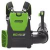 GreenWorks GD60BPB Solo GreenWorks GD60BPB Solo