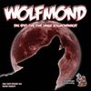 Heidelberger Spieleverlag Wolfmond Heidelberger Spieleverlag Wolfmond