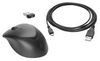 HP Wireless Premium-Maus (1JR31AA) HP Wireless Premium-Maus (1JR31AA)