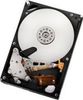 Hitachi Deskstar 7K2000 2TB (HDS722020ALA330) Hitachi Deskstar 7K2000 2TB (HDS722020ALA330)