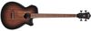 Ibanez AEGB24E-MHS Ibanez AEGB24E-MHS